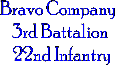 Bravo Company
3rd Battalion
22nd Infantry